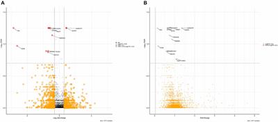 Human Cerebral Cortex Proteome of Fragile X-Associated Tremor/Ataxia Syndrome